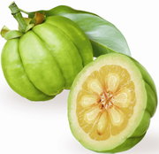 Garcinia Cambogia Dr OZ